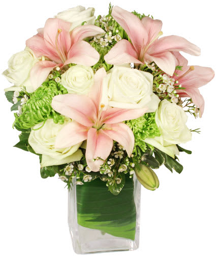 Radiant Garden Blooms
