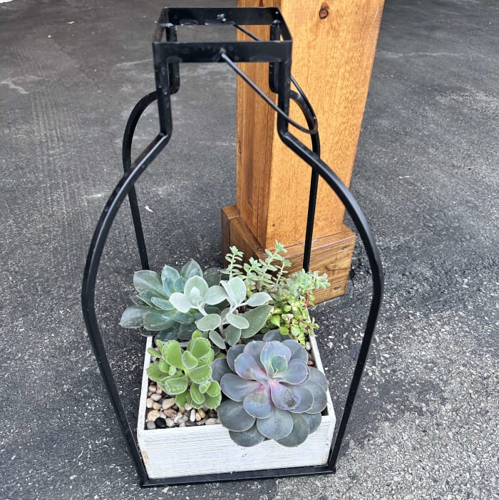 Modern Succulent Planter
