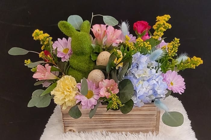 Eggstra Special Surprise