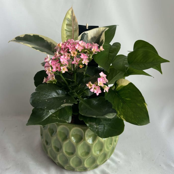 Springtime Tropical Planter