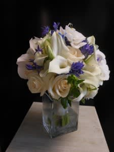 CLASSIC WHITE AND BLUE 
EN-42