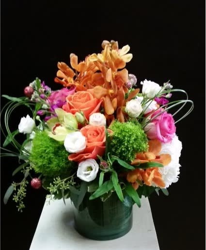 AUTUMN BLUSH