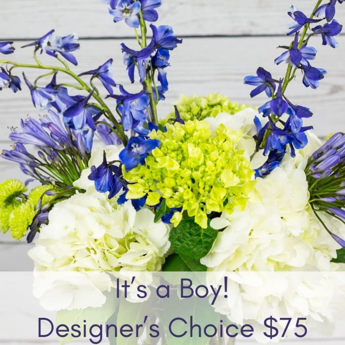 It's a Boy! Designer's Choice