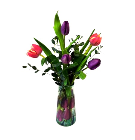 Tulip Treasure VM-1410