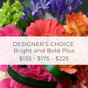 Designers Choice