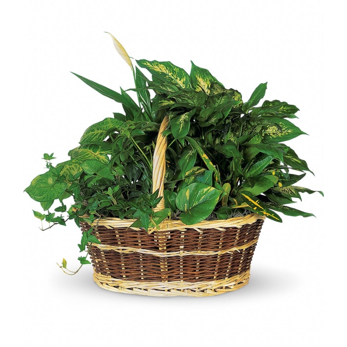 Large Basket Garden T212-1A