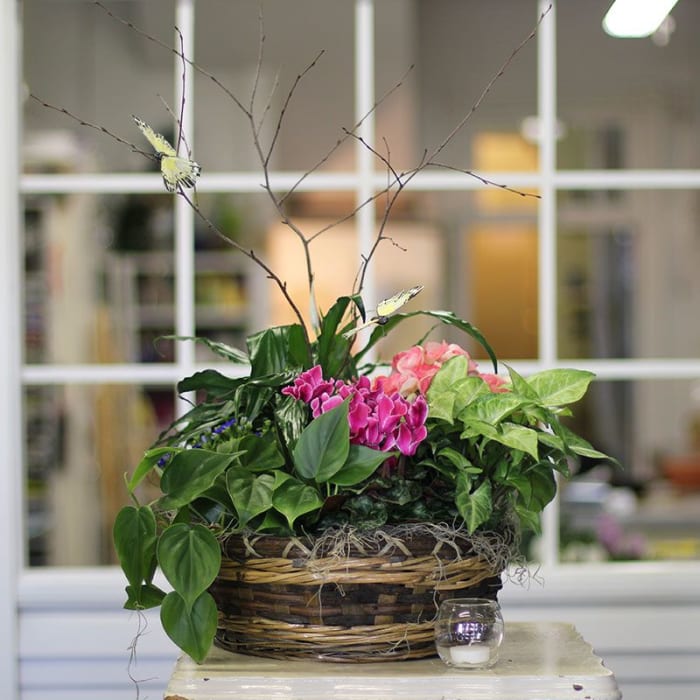 Jeweled Garden