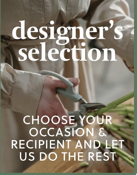 Designers Choice