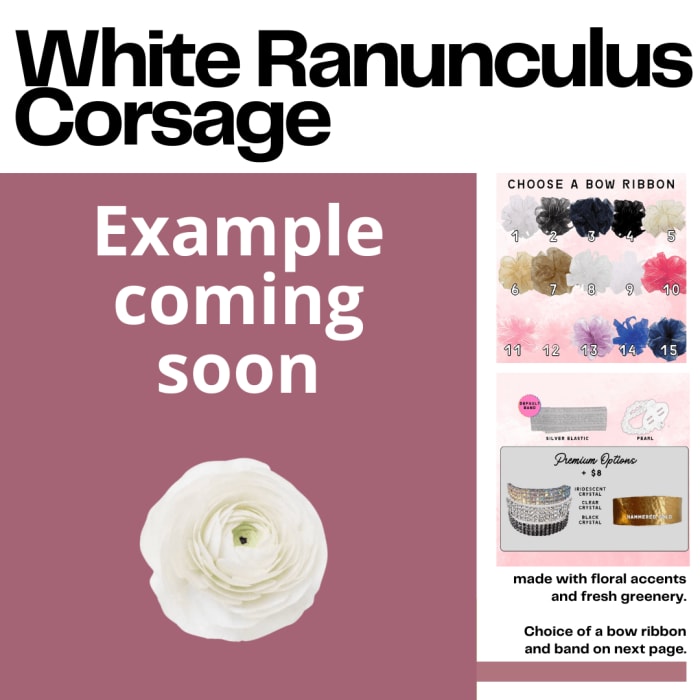 White Ranunculus