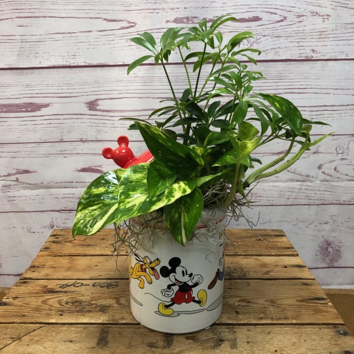 Cookie Jar with Green Plants