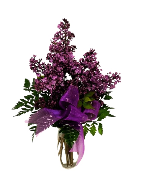 Luscious Lilacs V-1238 *ONLY 1 LEFT*