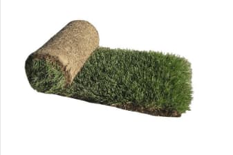 Kentucky Bluegrass Sod 10 sq ft / 24" x 60"