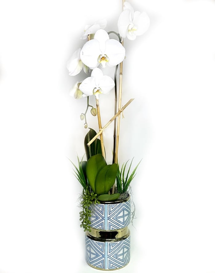 Cascade Orchid Bambu