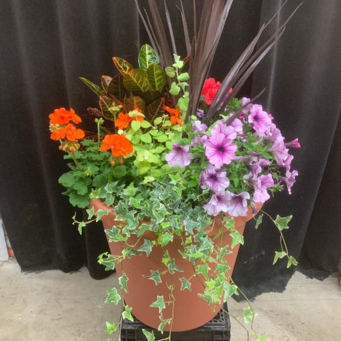 Large Patio Planter Flower Delivery Geneva IL Town & Country Gardens