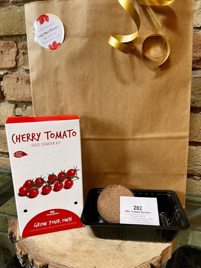 Everything You Need Seed Growing Kit - Cherry Tomatoes