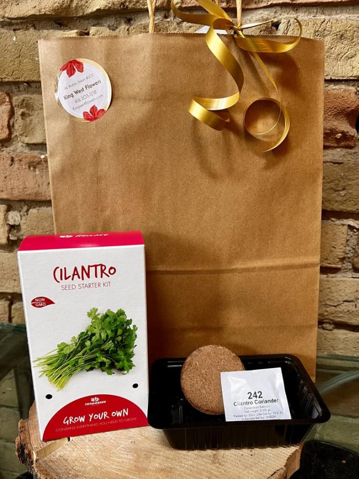 Everything You Need Seed Growing Kit - Cilantro