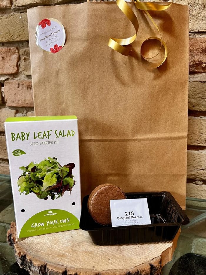 Everything You Need Seed Growing Kit - Baby Leaf Salad