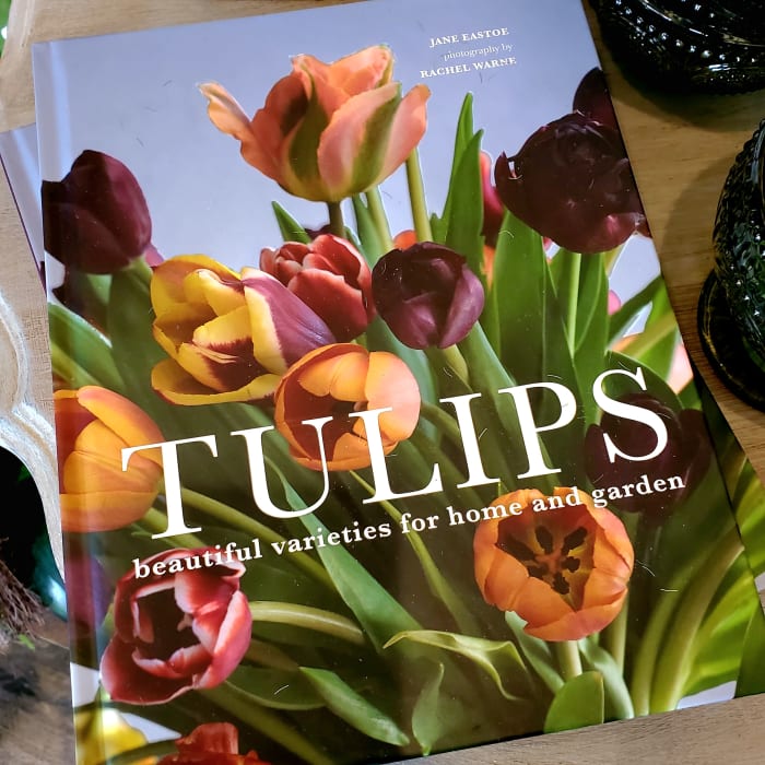Tulips, Jane Eastoe (hardcover)
