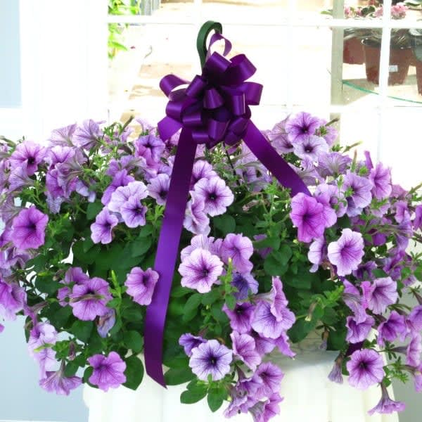 Hanging flowering outdoor basket