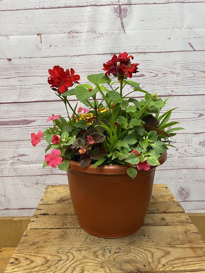 Planter with Blooming Annual Plants