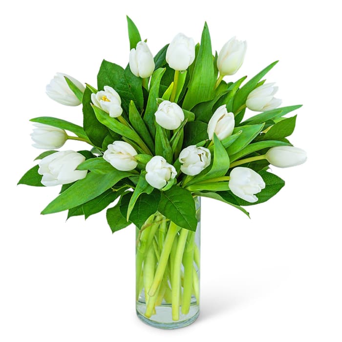 White Tulips