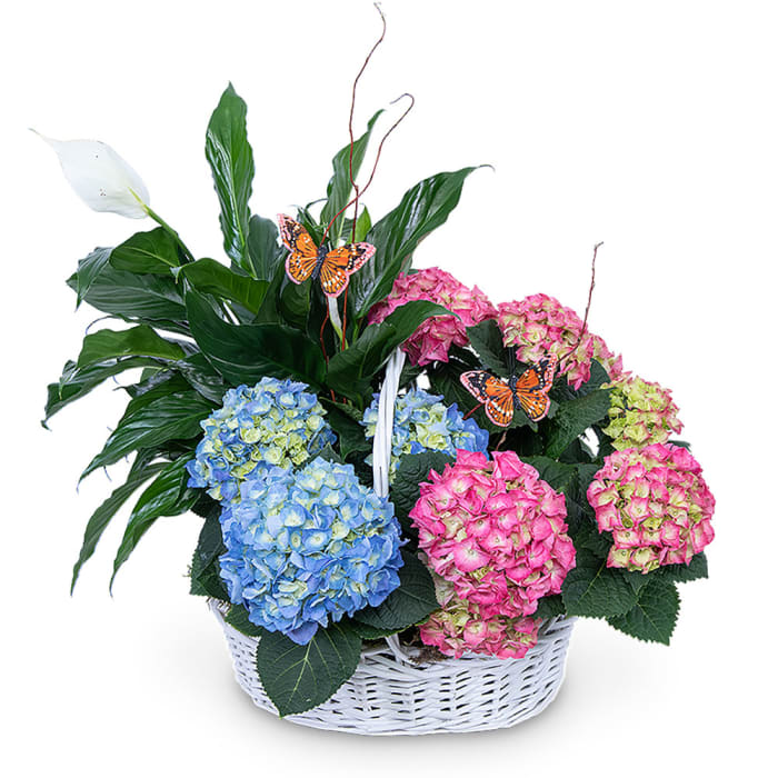 Bountiful Basket with Butterflies