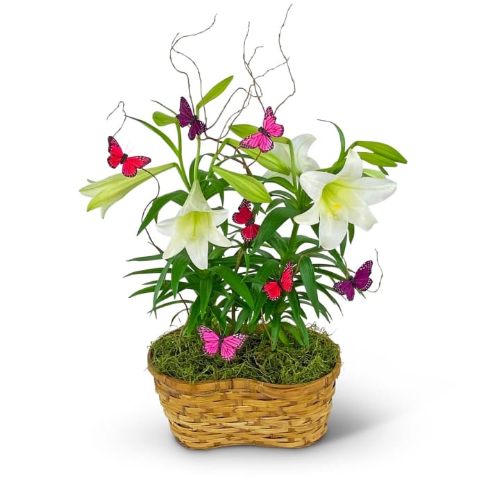 Easter Lilies in Spring Basket