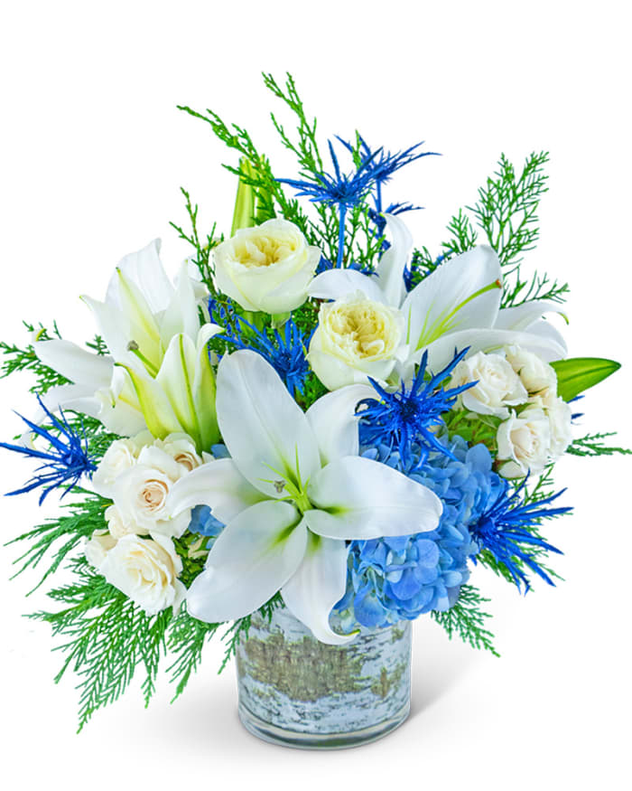 Shimmering Winter Sky