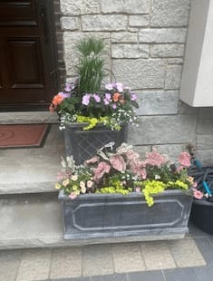 Planter Arrangement