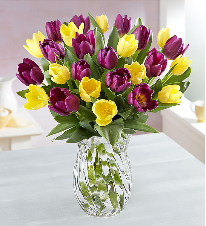 Spring Passion Tulips