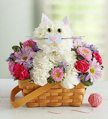 Feline Delight
