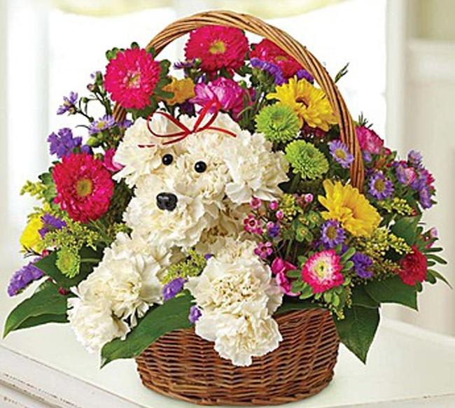 Doggie in a Basket