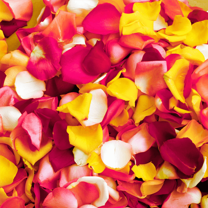 FRESH BAG OF PETALS