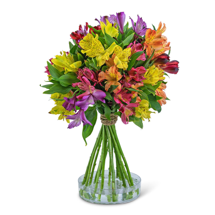 Peruvian Lily Topiary