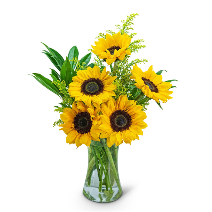 Sunflower Sunshine