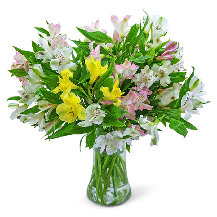 Lovely Peruvian Lilies