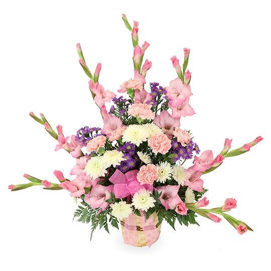 FF0029-1A Sweet And Warm Rememberance