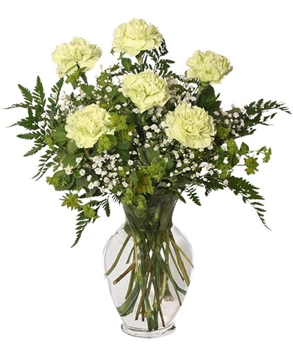 Pride & Joy New Baby Bouquet