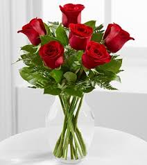DNU - Half Dozen Roses Arrangement