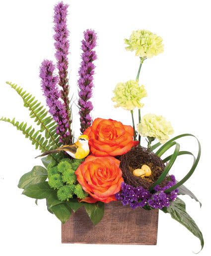 Brush Of Blooms Flower Arrangement
