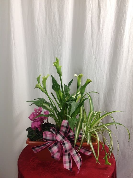 Planter Box