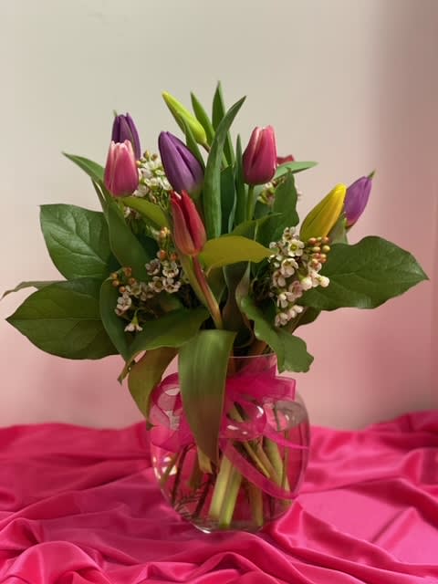 Classic Tulips