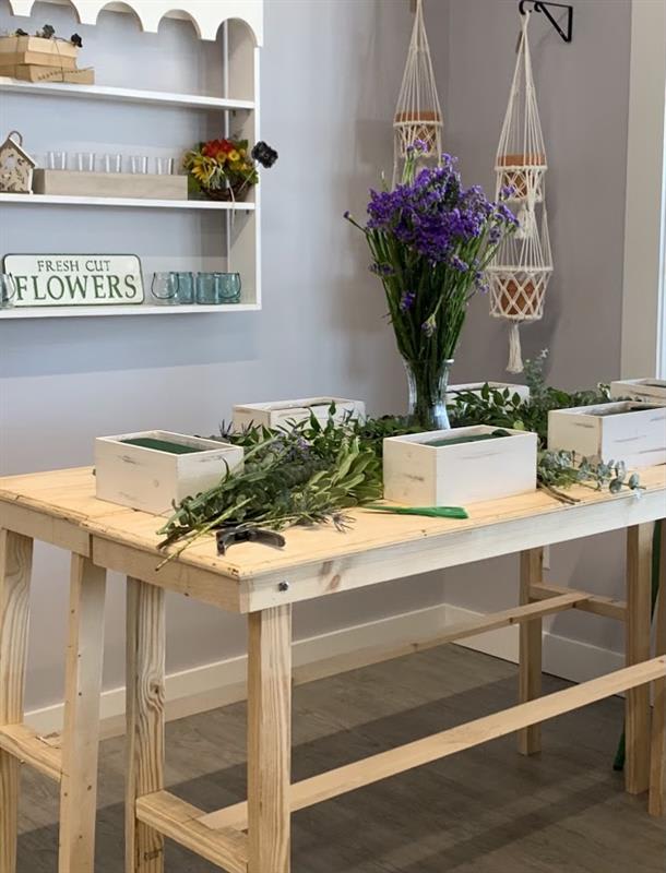 Workshop - Summer Camp