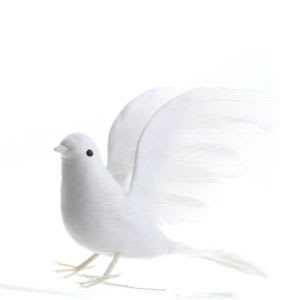 PALOMA BLANCA GRANDE