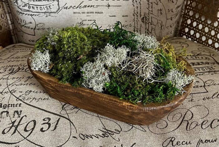 Preserved Moss Dough Bowl