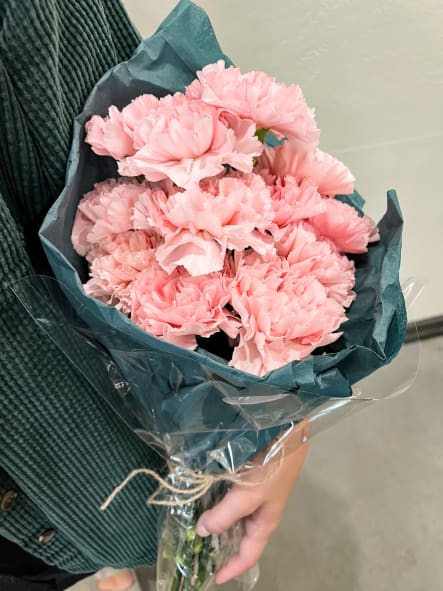 Carnations