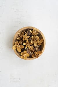 Dried Lily Flower Pods Bag of 20 