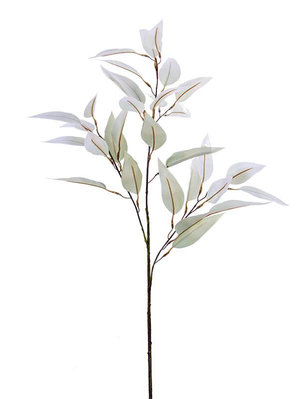 34.5" Long Leaf Euc Spray Ivory 