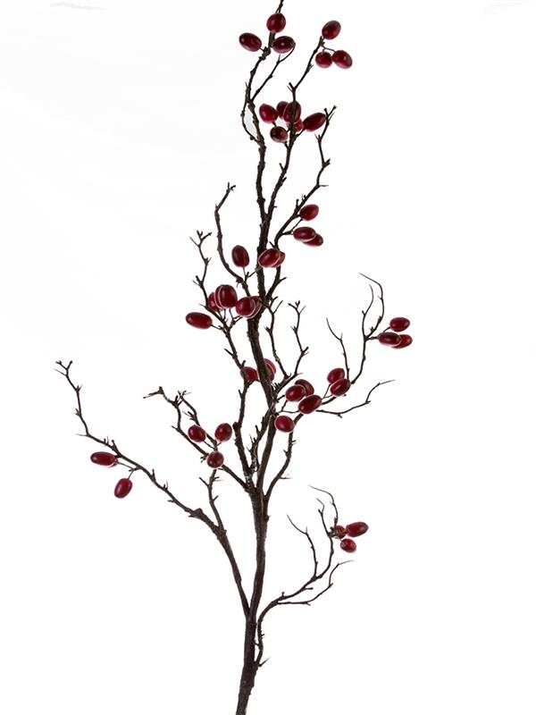 42" Coffee Bean Branch Red 
