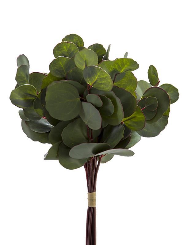 17" Silver Dollar Bundle 